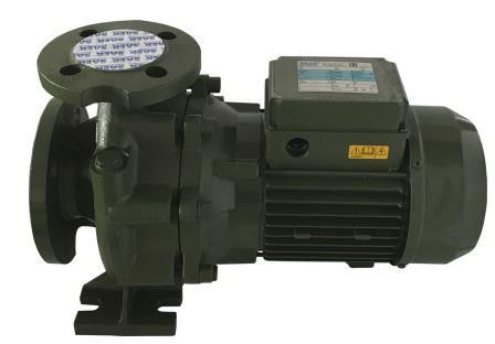 Насосный агрегат моноблочный фланцевый SAER IR 32-125A в Симферополе 
